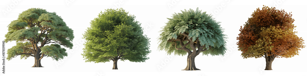 Fototapeta premium Set For trees in different seasons isolated on transparent background