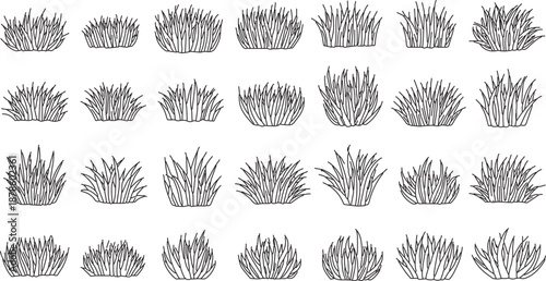 Variety of grass clumps in different shapes and sizes