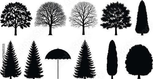 Tree silhouette collection with different shapes including evergreen deciduous and umbrella black vector set for landscape design