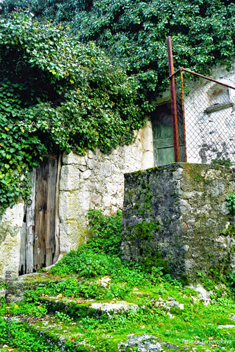 Village house overtaken by plants symbolizing rural depopulation patterns. Illustrates demographic challenges, countryside abandonment, traditional lifestyle disappearance, and migration consequences.