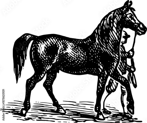 Illustration of a Horse with a Handler