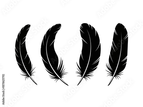 Set of four black feathers for design
