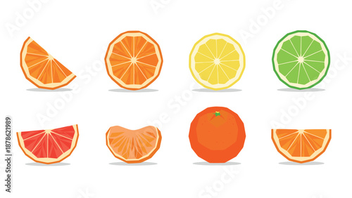 Colorful citrus fruit collection with slices and whole in geometric flat art style