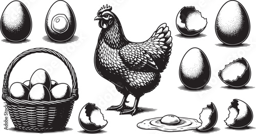 Vintage engraving hen and fresh eggs set Vector