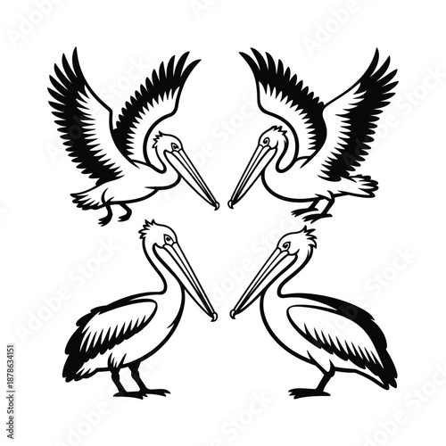 Four black and white pelicans standing and flying in different positions icon