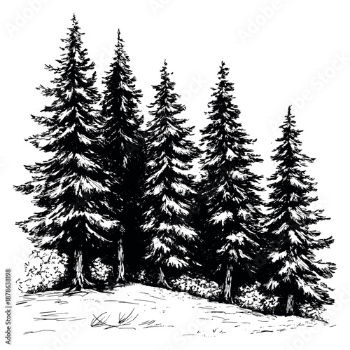 Hand drawn line art forest trees set featuring a group of evergreen conifers for wilderness and nature designs