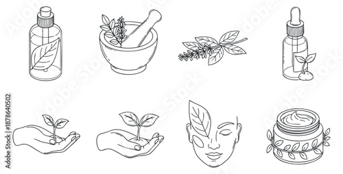 A collection of herbal skincare elements including bottles, mortar and pestle, and hands with leaves in minimalist outline vector style, ideal for beauty and wellness branding
