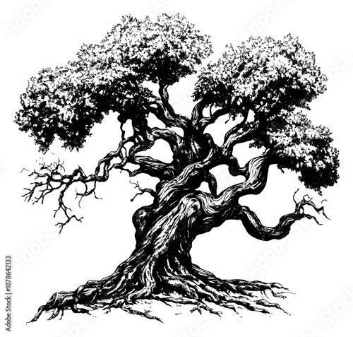 Hand drawn line art illustration of an ancient tree depicting twisted branches and roots for nature themes