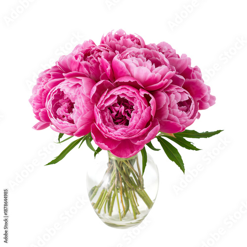 Bright Pink Peonies Arranged in a Clear Vase on a Plain Background
