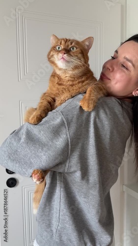 Happy orange cat sitting in hands of his owner girl at home. Woman scratching orange cat's head, petting him