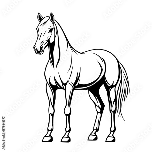 Elegant Silhouette Horse Black White | Clean, isolated vector art for creative projects.