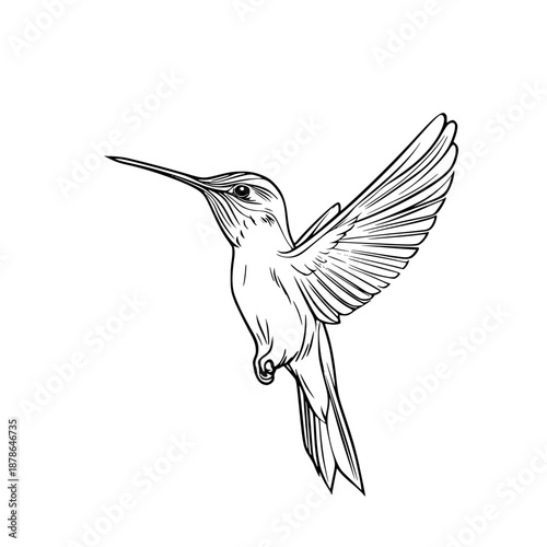 Elegant Hummingbird Flight: Minimalist Line Art | Clean, isolated vector art for creative projects.
