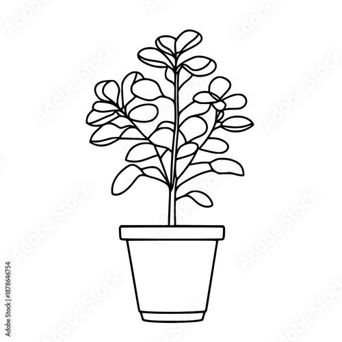 Miniature Monochrome Jade Plant Flowerpot | Clean, isolated vector art for creative projects.