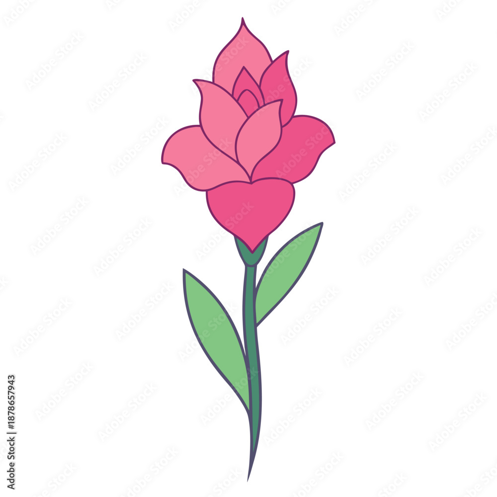 Fototapeta premium gladiolus pink line art on white background 