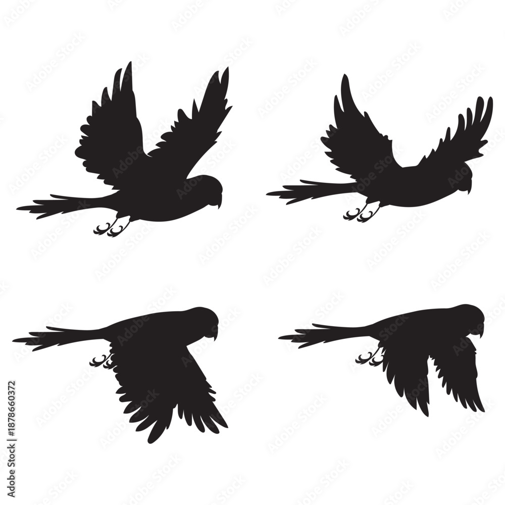Obraz premium Bird silhouette vector art design