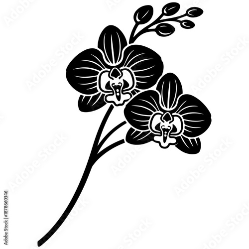 Orchid flowers vector line art, black and white botanical illustration for engrave, laser engrave, prints and creative projects