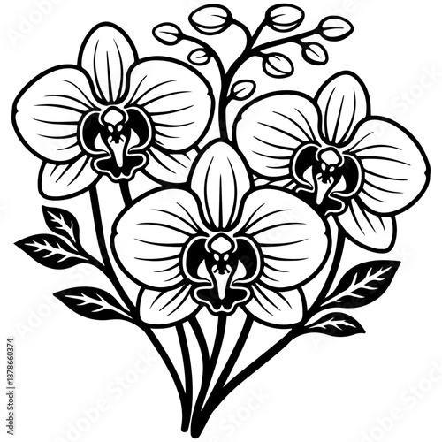 Orchid flowers vector line art, black and white botanical illustration for engrave, laser engrave, prints and creative projects