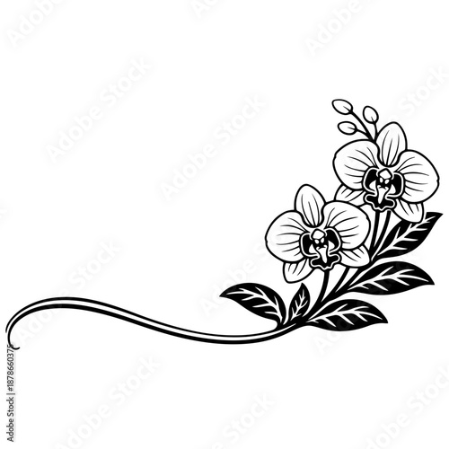Orchid flowers vector line art, black and white botanical illustration for engrave, laser engrave, prints and creative projects