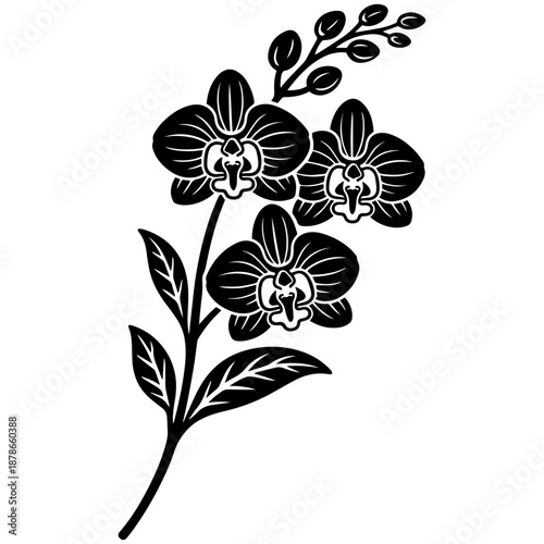 Orchid flowers vector line art, black and white botanical illustration for engrave, laser engrave, prints and creative projects