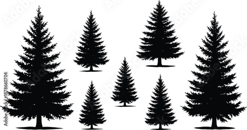 Black pine tree silhouettes set, realistic evergreen forest collection in different sizes, minimal nature vector elements for landscape, winter, outdoor design