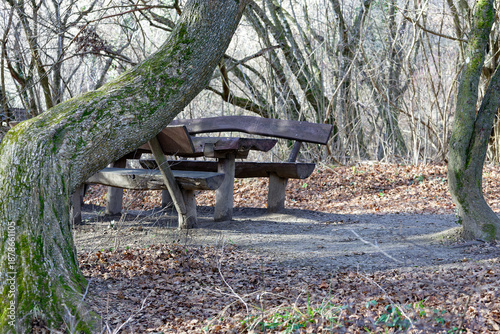 Wooden picnic table under trees in a forest clearing during daytime