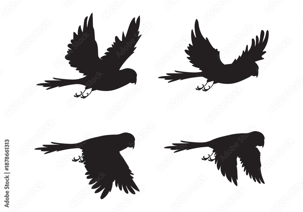 Obraz premium Bird silhouette vector art design
