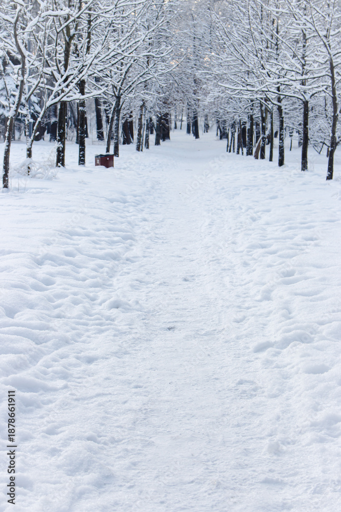 Fototapeta premium Snow covered trees in city park. Amazing winter landscape. Footpath in snowy frozen forest. Snowfall and empty path in beautiful downtown park. Cold winter morning in nature. Frosty morning in January