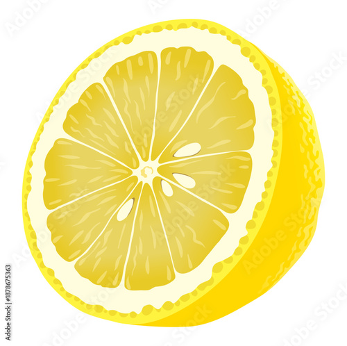 Lemon Cross Section Citrus Fruit Illustration