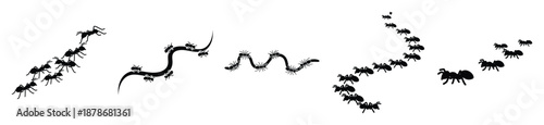 ant trail silhouette vector icon set, black color and white background