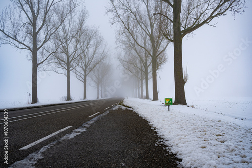 a rural road in light fog, which is clear after it has snowed.