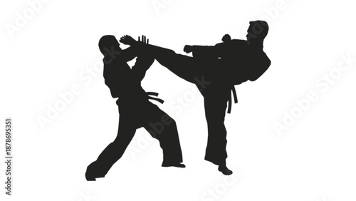 Silhouette of Karate Combat Fighter Kick Action