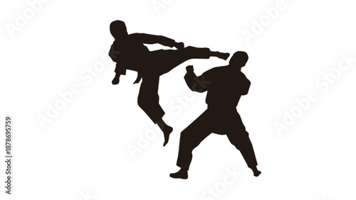 Two Martial Arts Fighters Sparring Silhouette