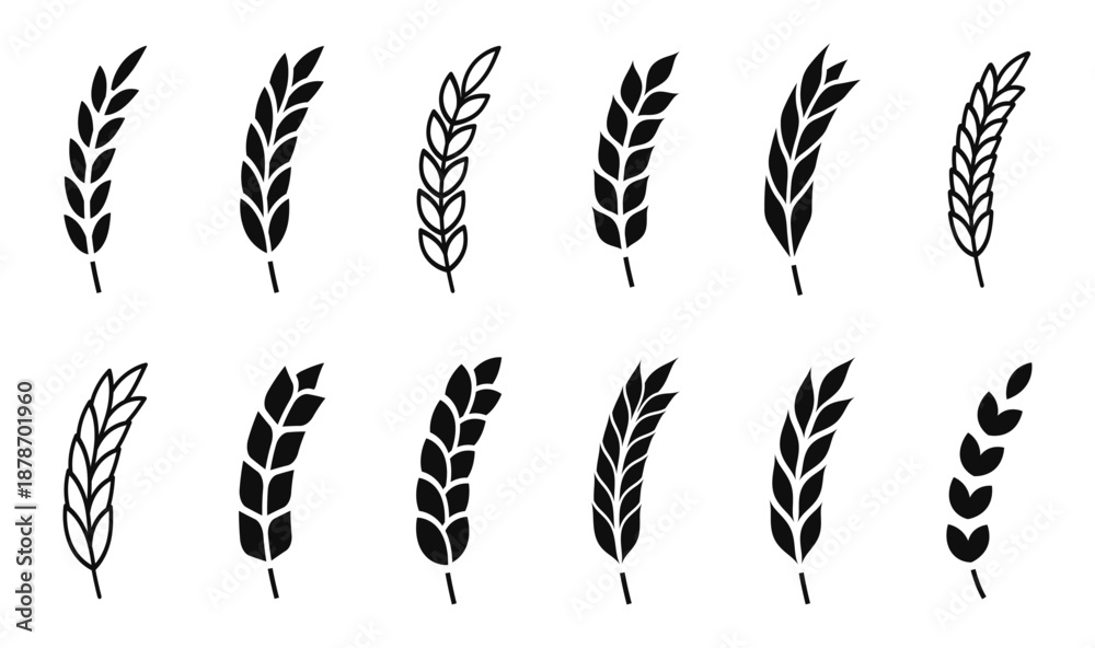 Obraz premium Wheat ears icons. Grain spike icon. Agriculture symbol. Gluten sign. Cereal, bread, harvest, bakery logo. Organic wheat plants. Vector illustration.