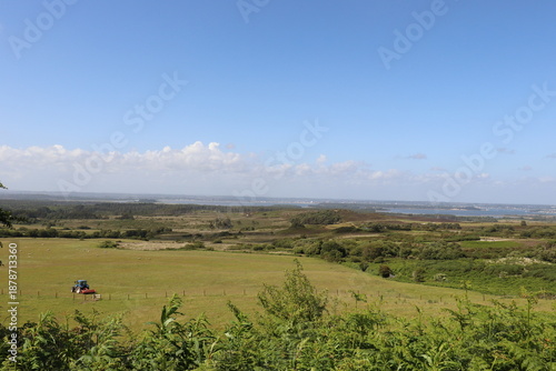 Dorset countryside
