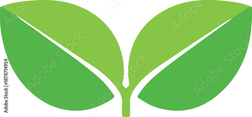 Green leaf icons set. Leaves icon on isolated background. Collection green leaf. Elements design for natural, eco, vegan, bio labels.