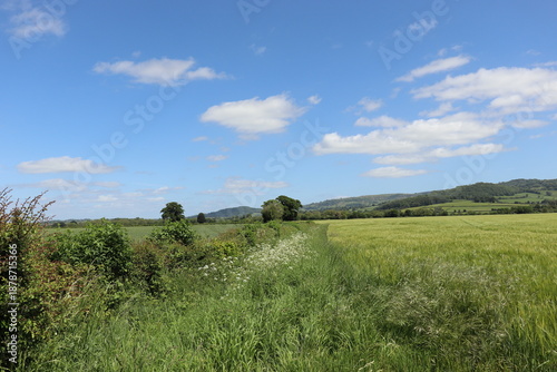 Wales countryside in the summertime