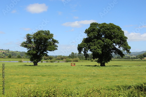 Wales countryside in the summertime
