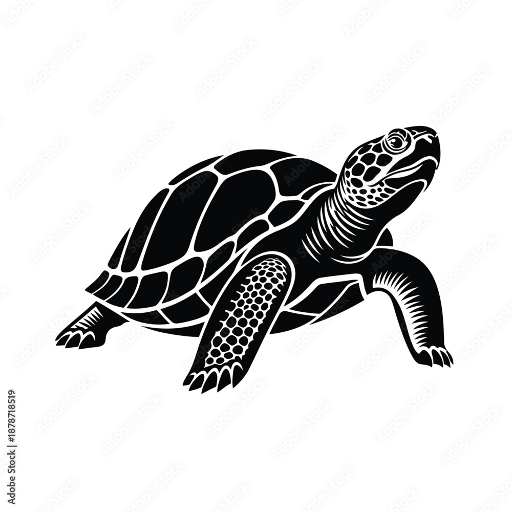 Fototapeta premium Sea Turtle or Tortoise Detailed Silhouette Illustration Isolated on White Background
