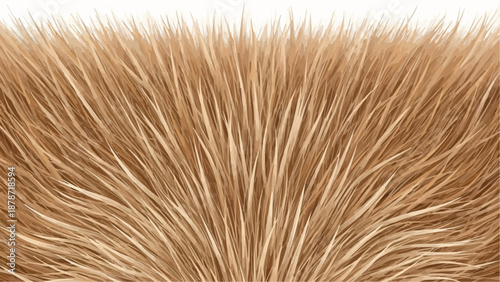 A close up view of dense golden brown grass blades swaying gently in the warm sunlight displaying natural texture