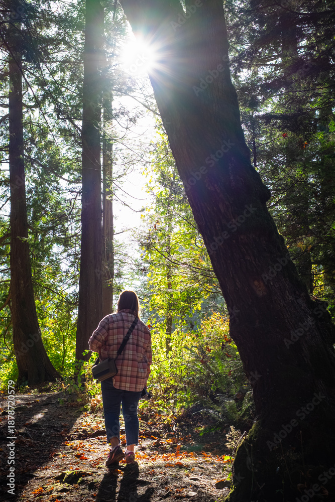 Obraz premium Woman, nature and trees in forest with sunshine