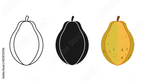 Three papaya illustrations outline silhouette and realistic flat design fruit on white background