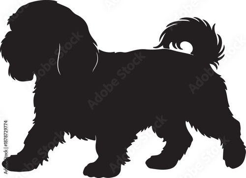 Shih Tzu dog in silhouette white background.