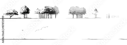 다양한 나무들의 흑백 스케치, 투명한 배경에 자연 풍경을 표현한 일러스트