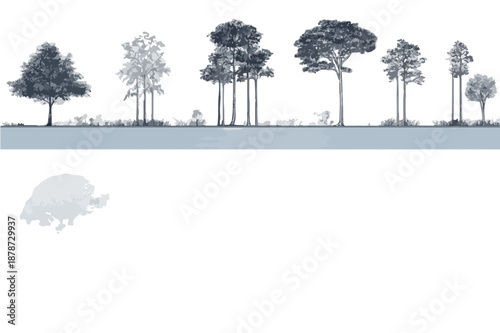 다양한 종류의 나무들이 숲을 이루고 있는 모습, 투명한 배경에 그려진 자연 일러스트