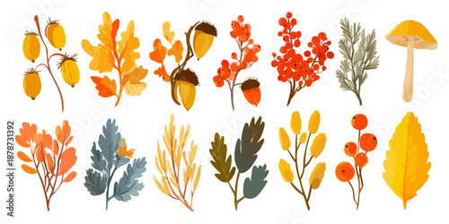 다양한 가을 식물 요소, 도토리, 단풍잎, 열매, 버섯, 나뭇가지, 투명 배경의 수채화 일러스트