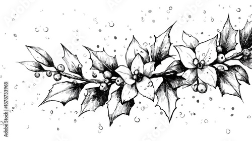 Ręcznie rysowana świąteczna girlanda ostrokrzewu i gwiazdy betlejemskiej z kropelkami śniegu, monochromatyczny szkic.