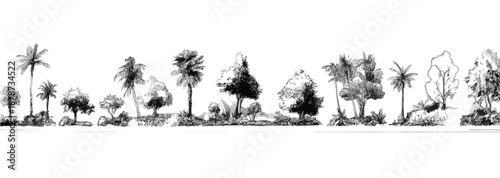 Zestaw szkiców drzew, palm i roślinności w stylu czarno-białym na przezroczystym tle