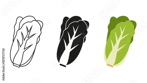 Three lettuce leaves in black white and green colors on plain background