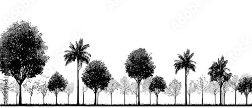 Silueta vectorial de varios árboles y palmeras en blanco y negro con fondo transparente.