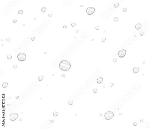Wallpaper Mural Realistic water drops. PNG drops, condensation on the window, transparent water drop. Abstract water drops, bubbles on transparent background Torontodigital.ca